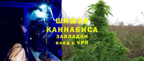 прущие грибы Архангельск