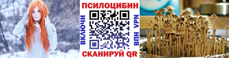 Псилоцибиновые грибы прущие грибы Лаишево