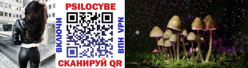Псилоцибиновые грибы Psilocybe  Лаишево 